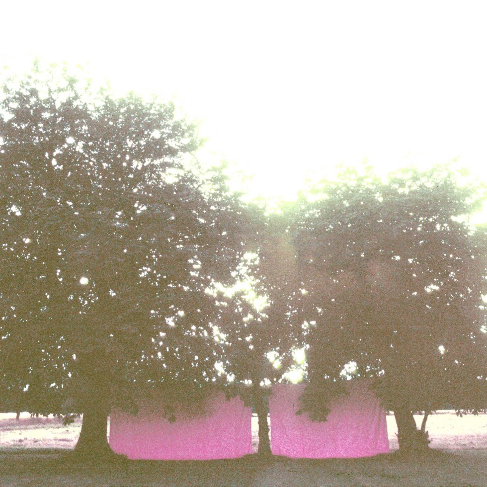 'Energy Field' 1998- 2002 by artist Wendy Hardie. Two walls of pink fabric drawn tight between 3 Chestnut trees. Sited on the farm Hardie grew up on these trees were planted by her grandfather and his two brothers.